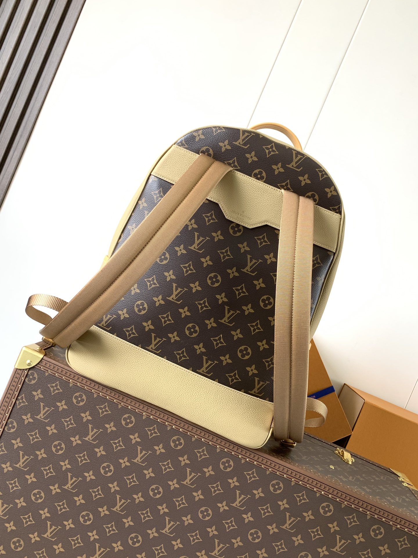 Louis monogram backpack