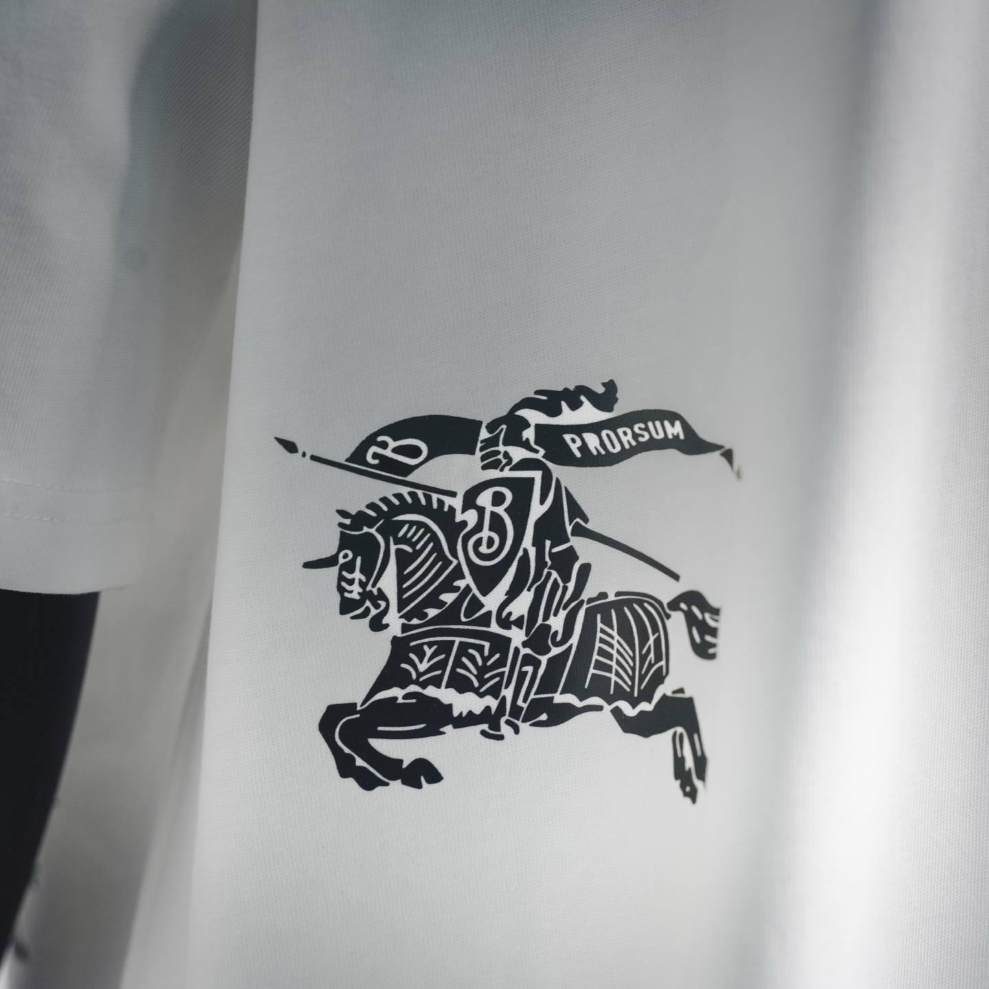 Burb 26ss print t-shirt
