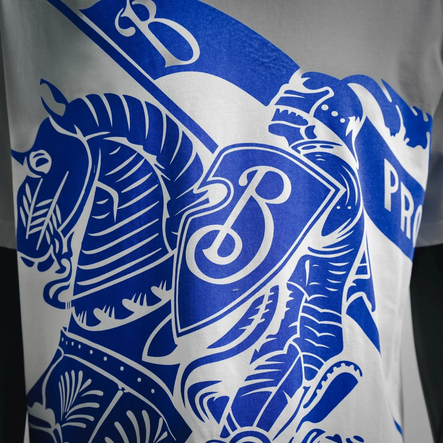 Bur printed t-shirt