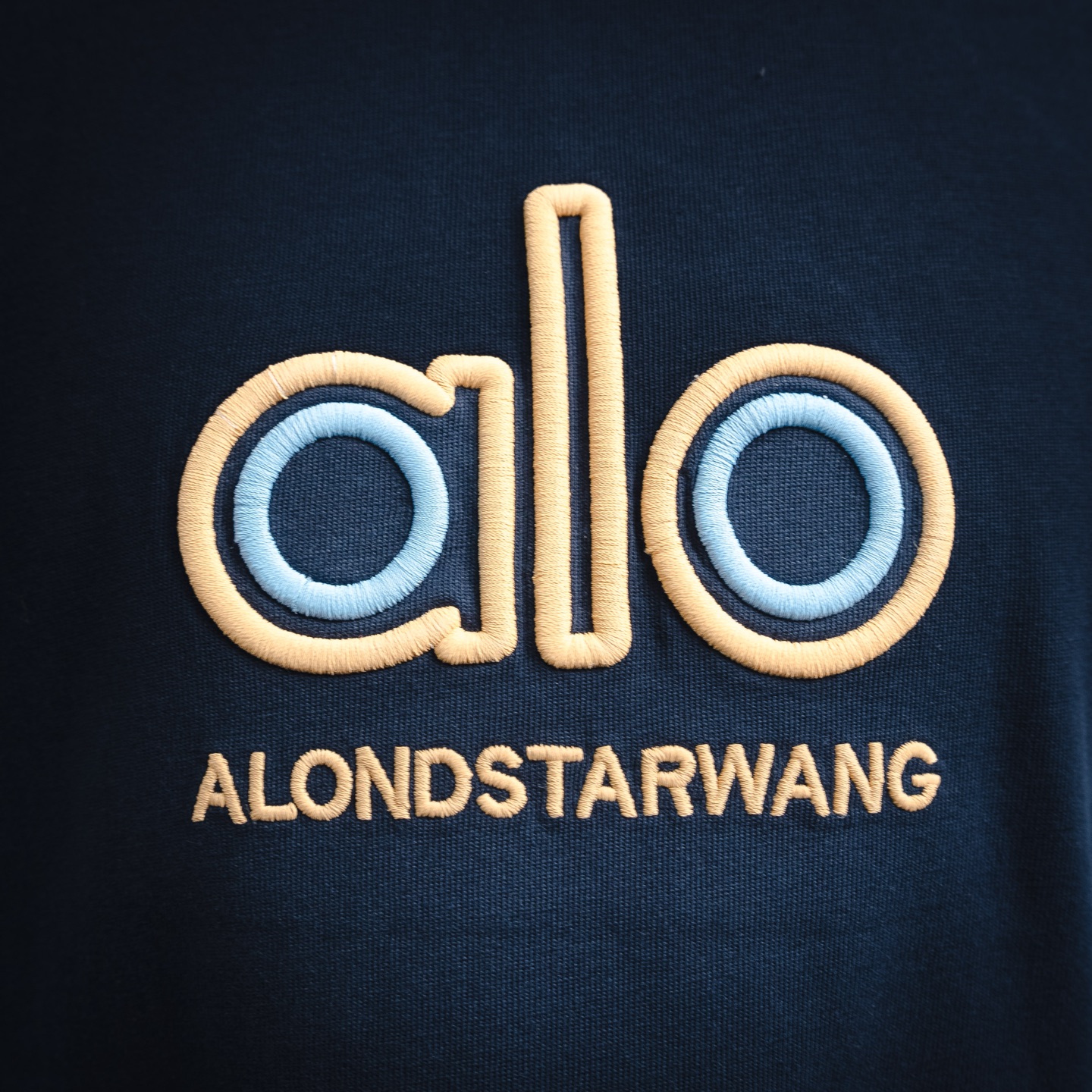 Alo embroidered t-shirt