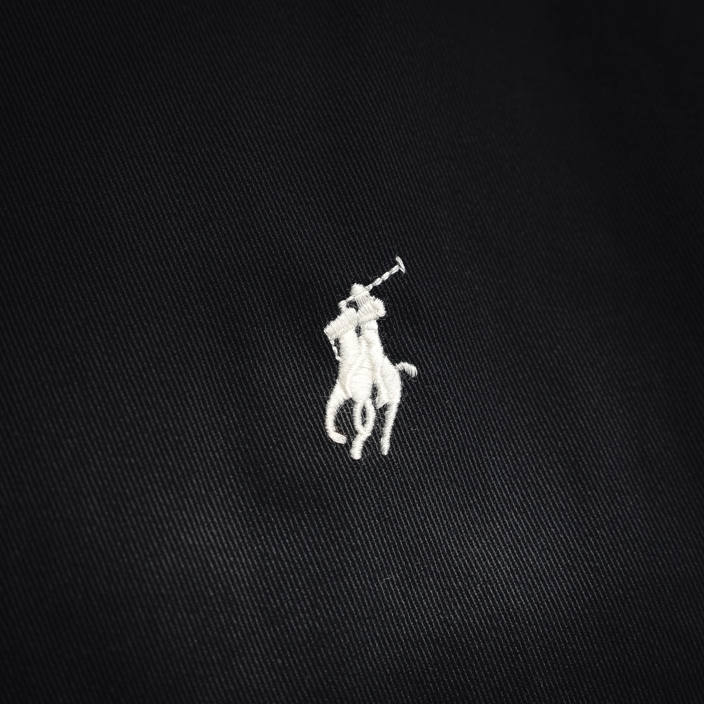 Ralph embroidered zip-up jacket