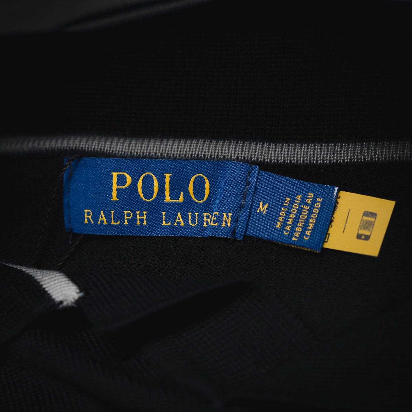 Ralph striped embroidered Polo