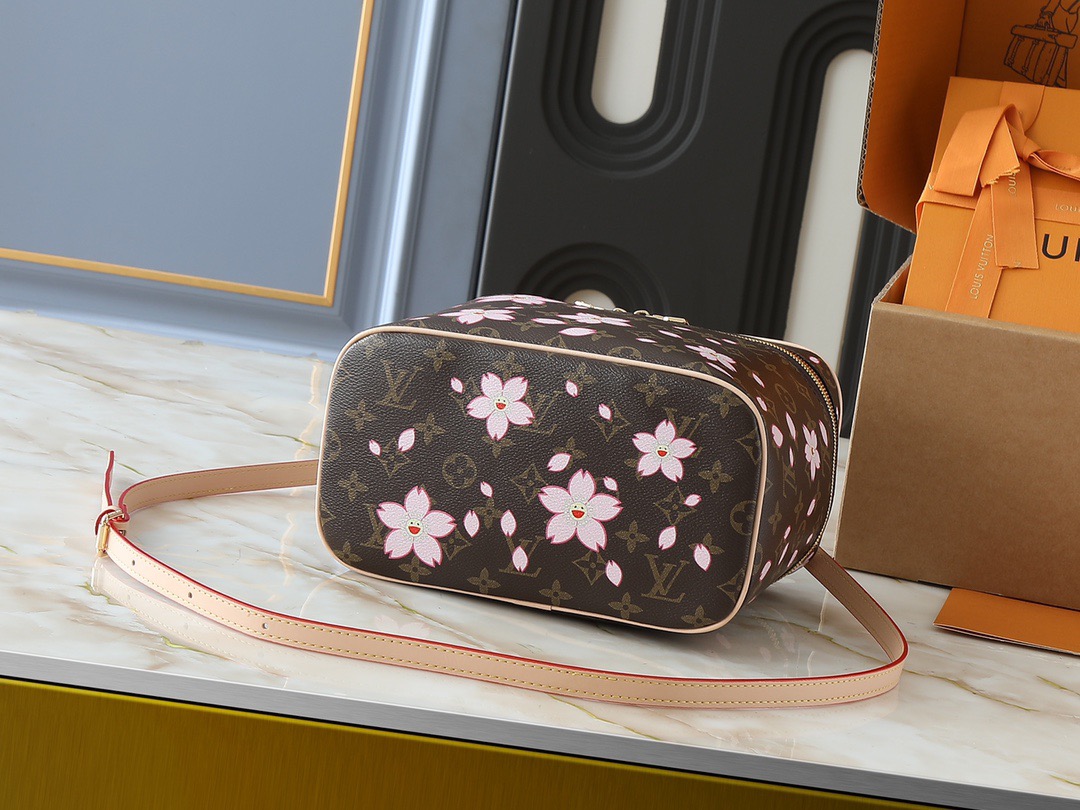 Louis monogram bag