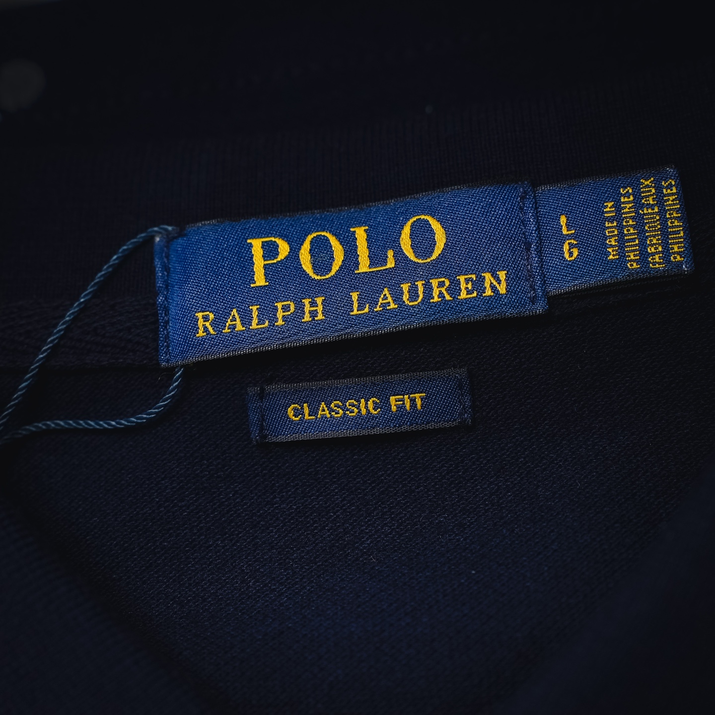 Ralph splatter embroidered Polo