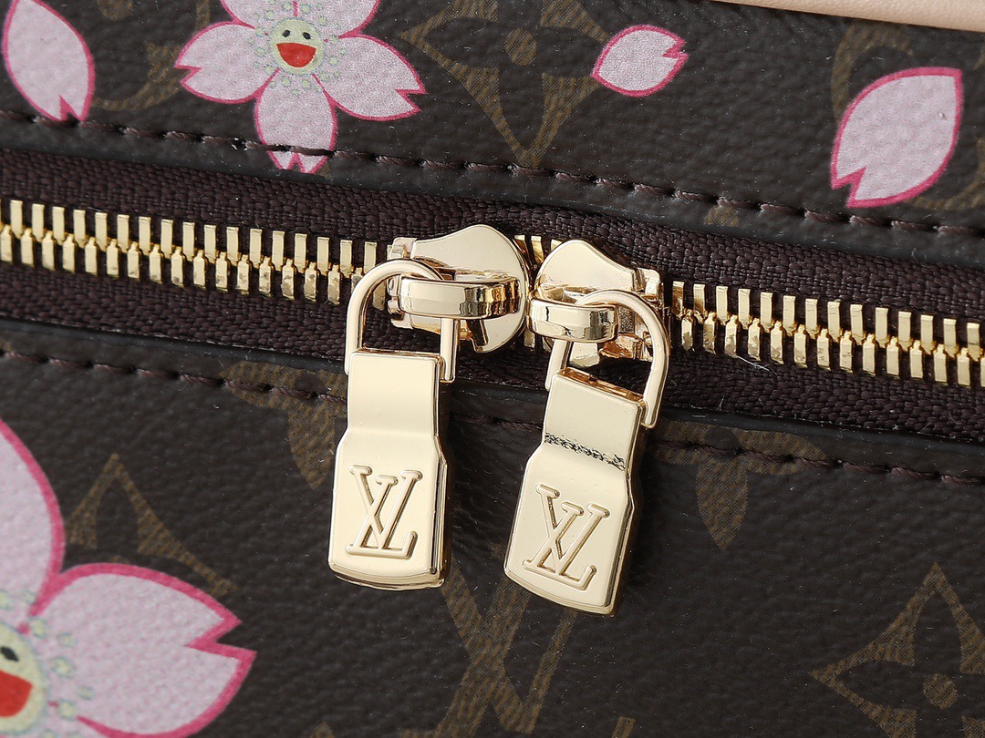 Louis monogram bag
