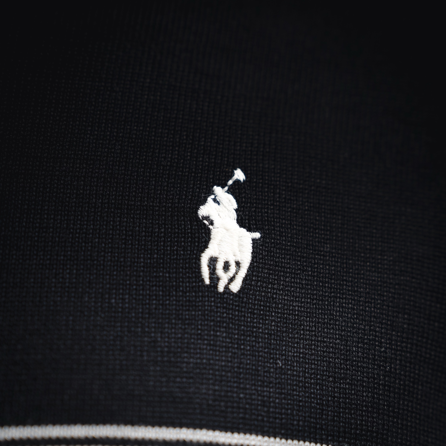 Ralph striped embroidered Polo