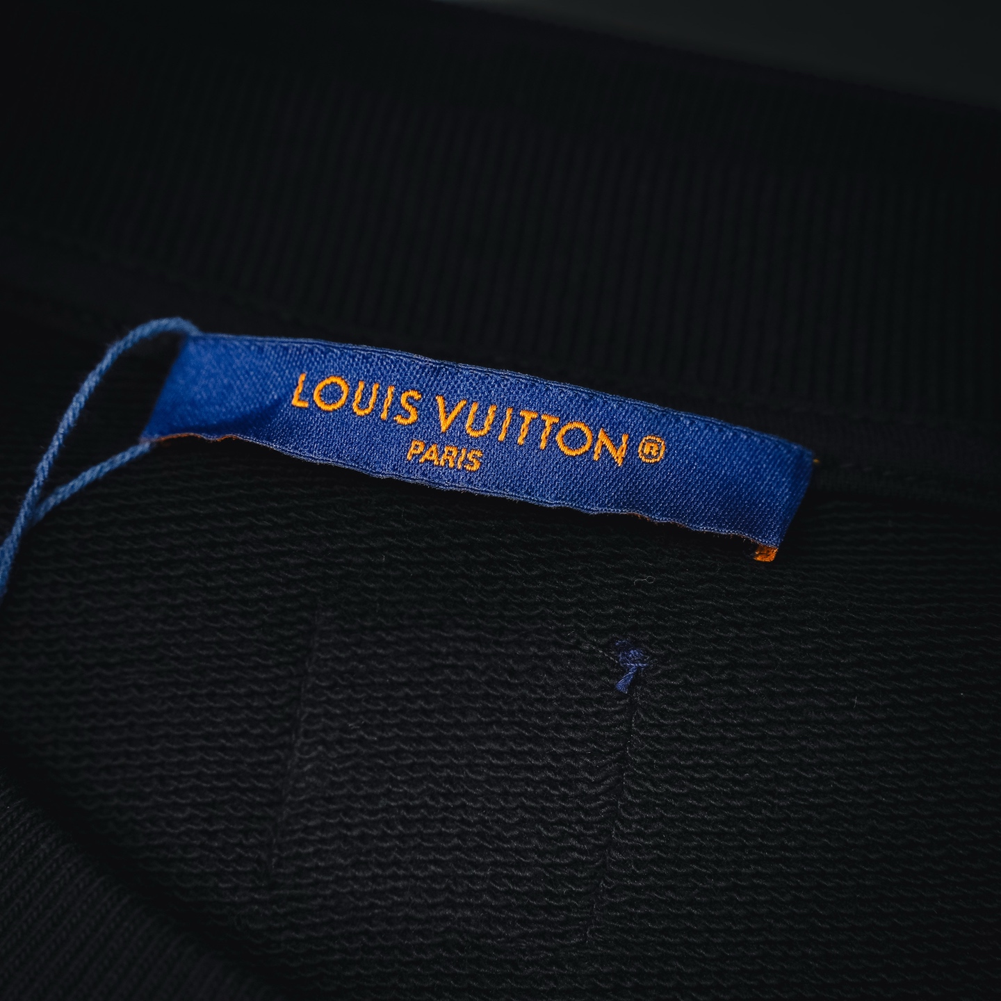 Louis Iconic monogram sweatshirt