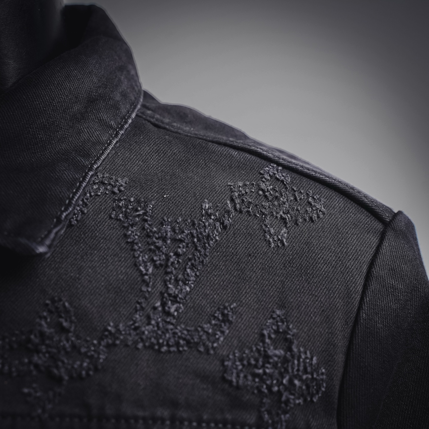 Louis monogram tonal jacket
