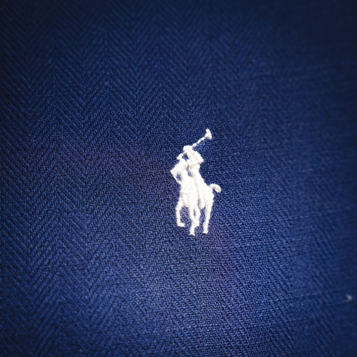 Ralph embroidered jacket