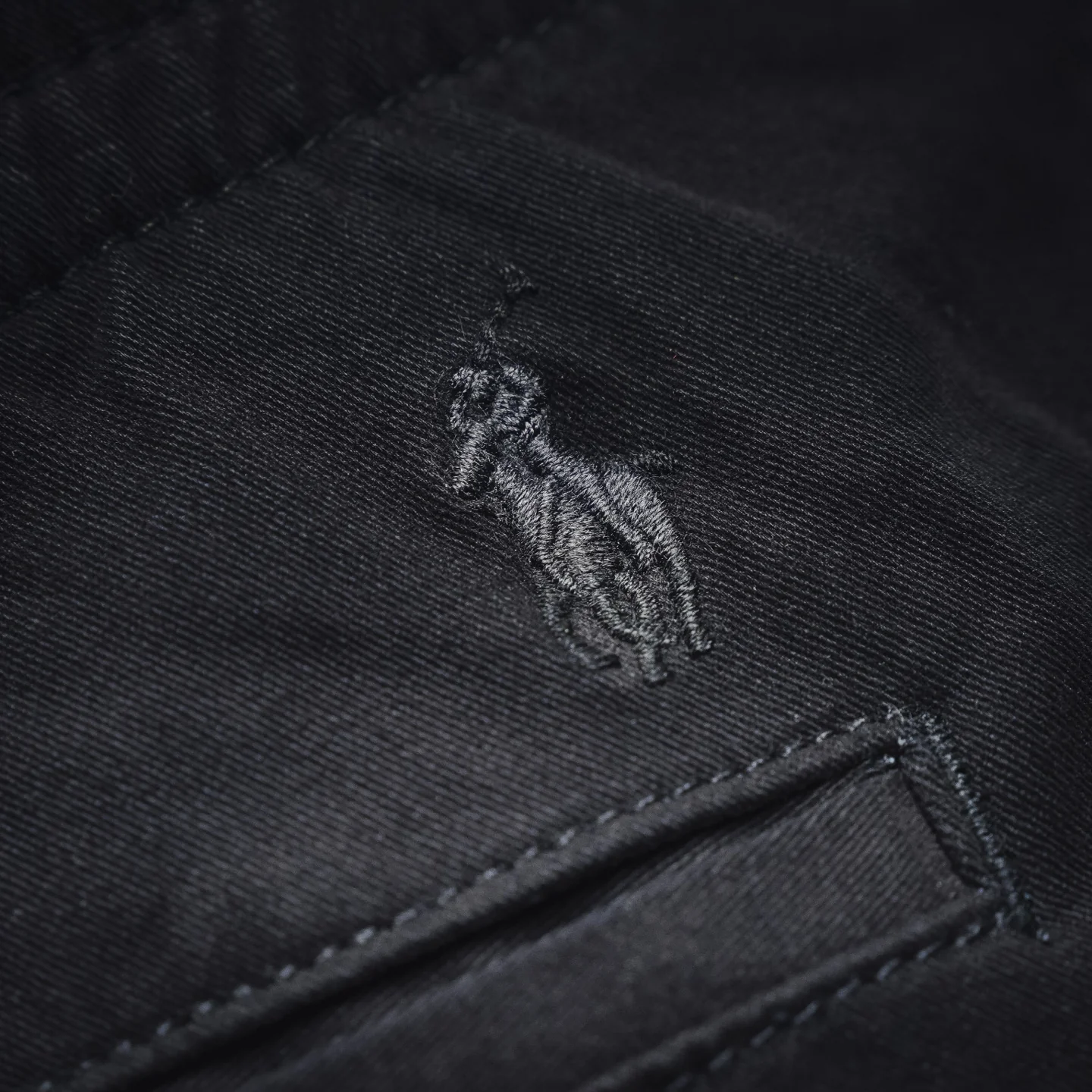 Ralph embroidered casual pants