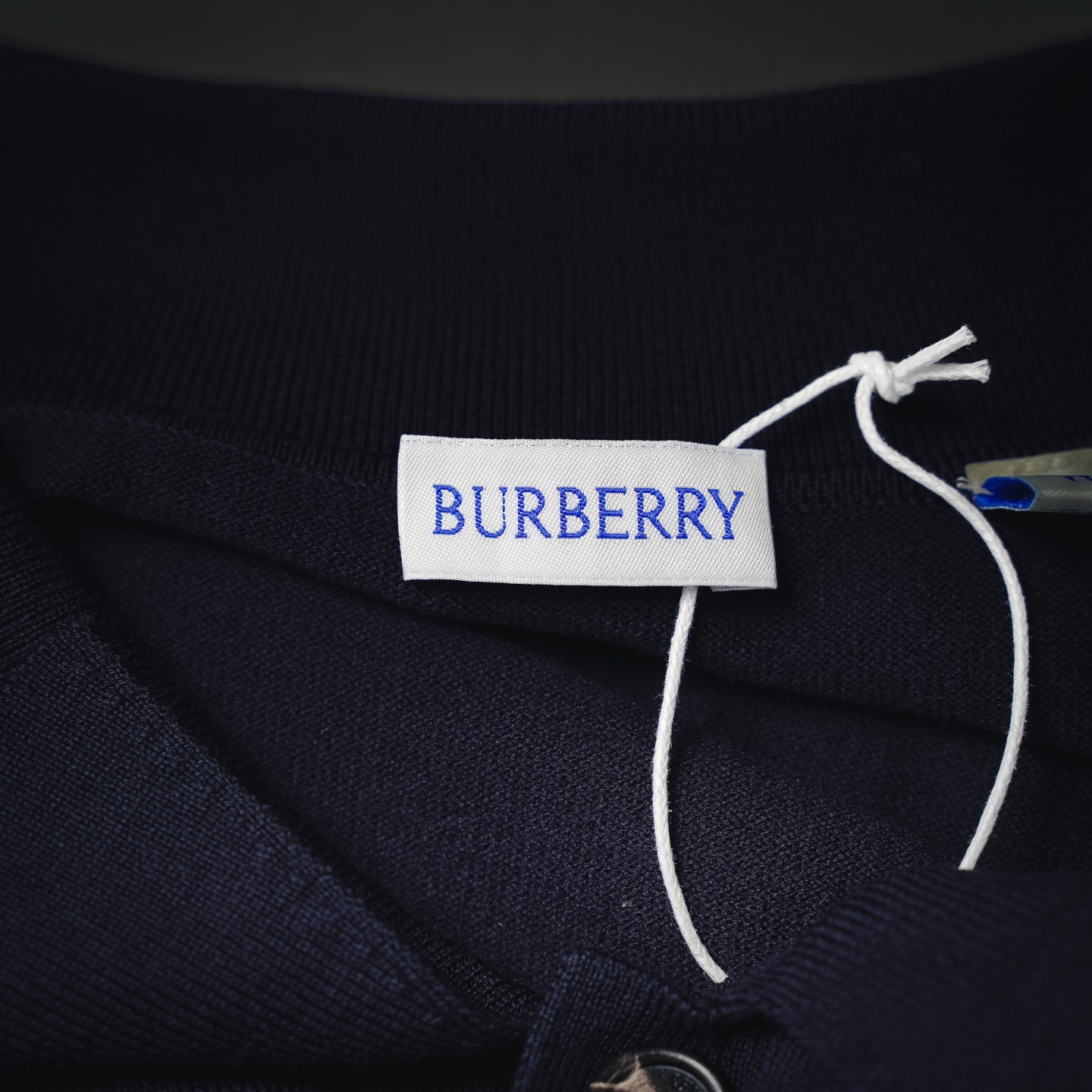 Bur embroidered knit Polo
