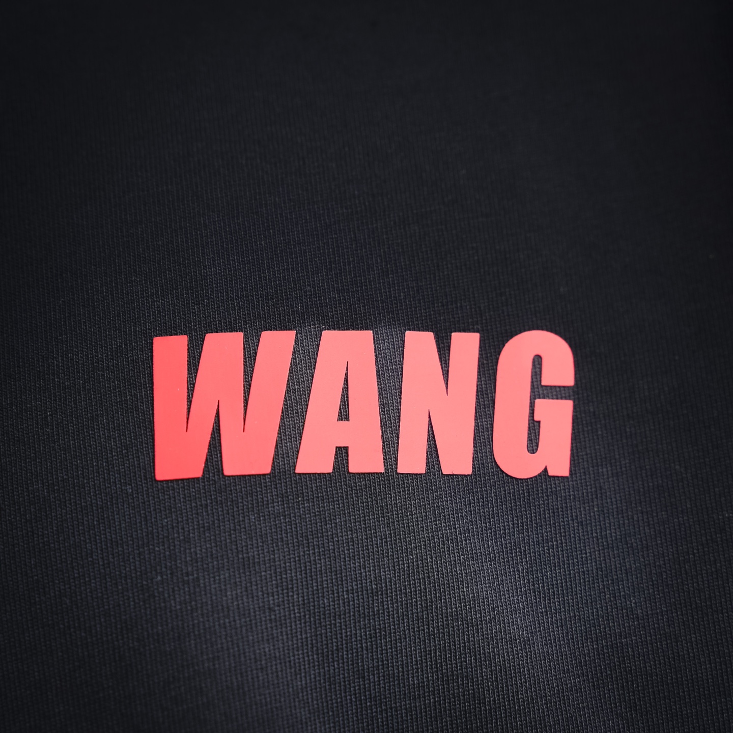 Alex 26ss print t-shirt