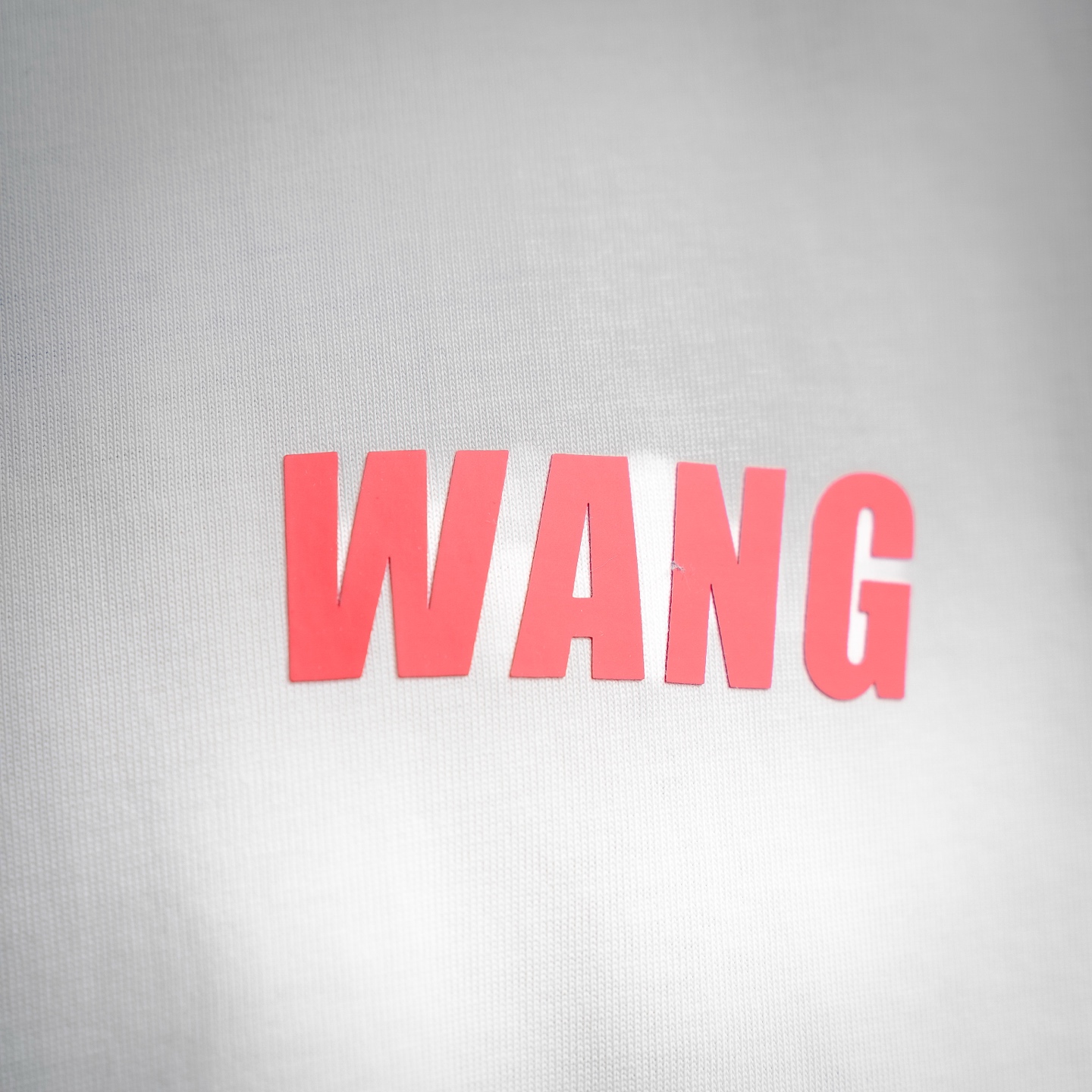 Alex 26ss print t-shirt