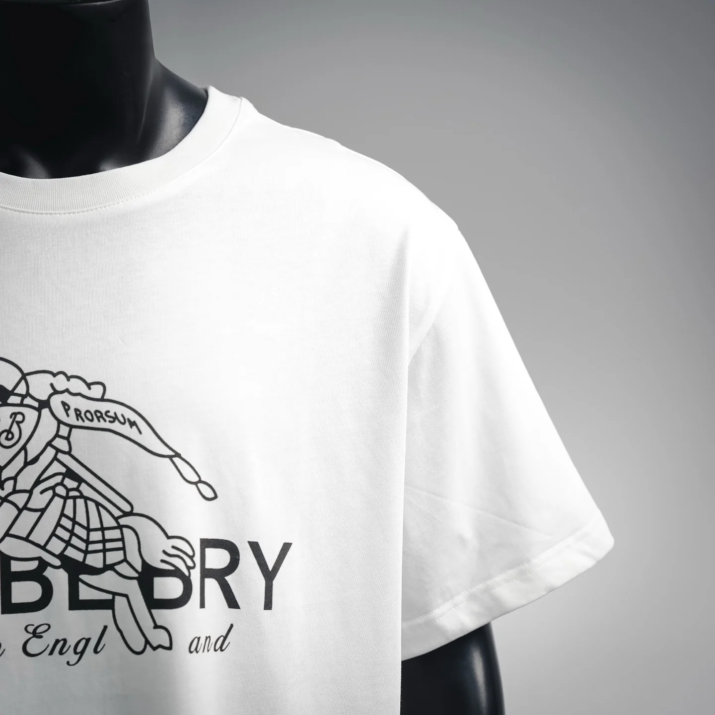 Bur printed t-shirt