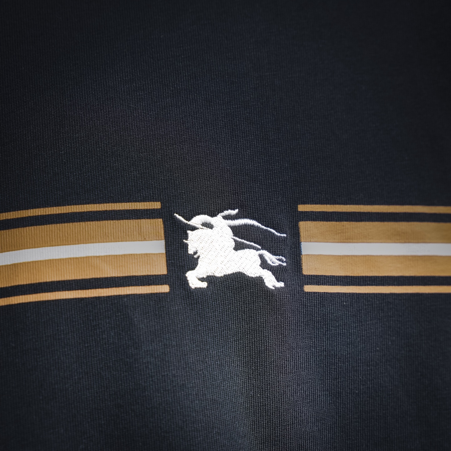 Bur striped printed t-shirt