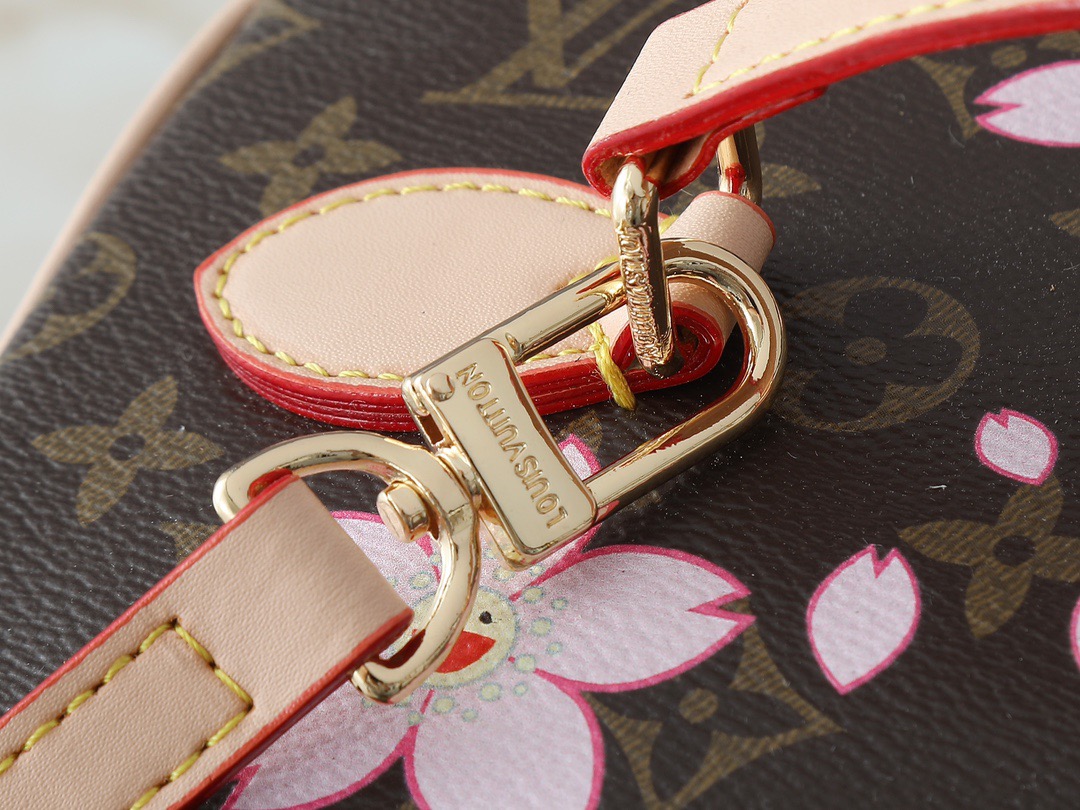 Louis monogram bag