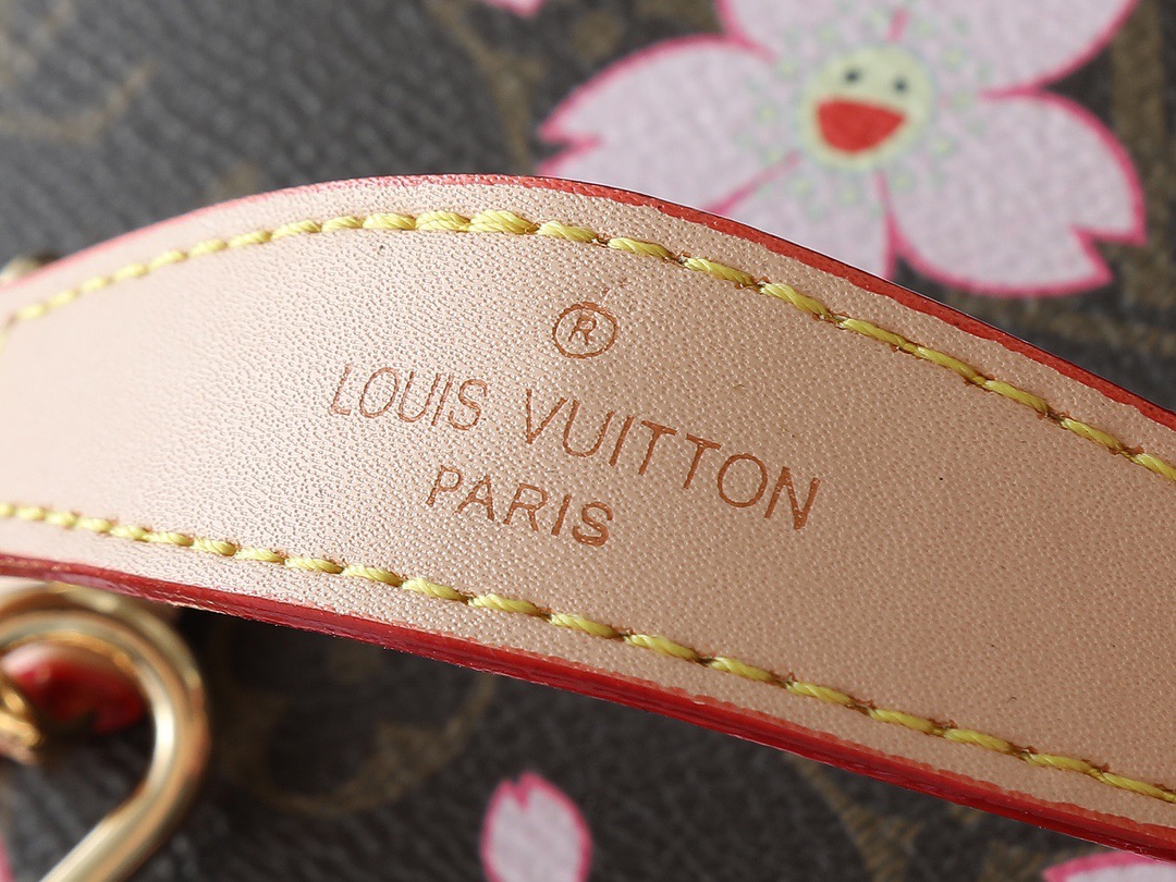 Louis monogram bag
