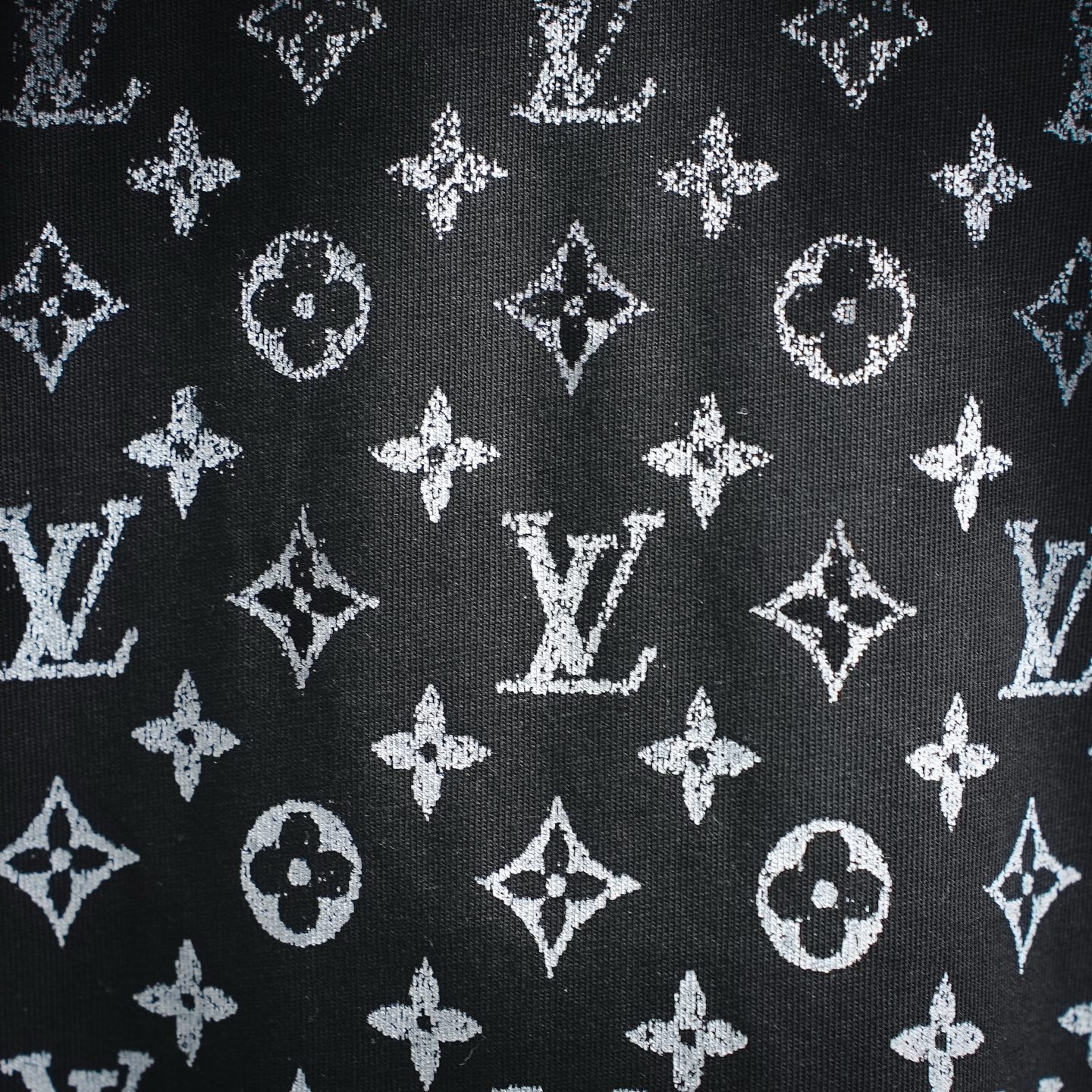 Louis gradient monogram t-shirt