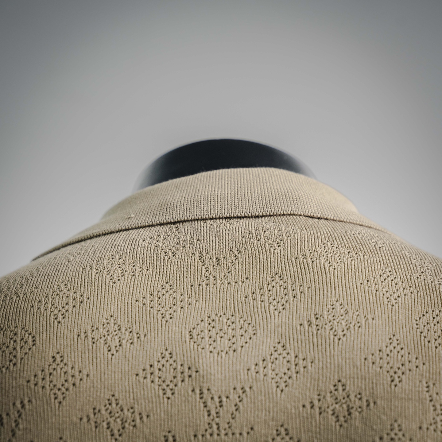 Louis collared Polo