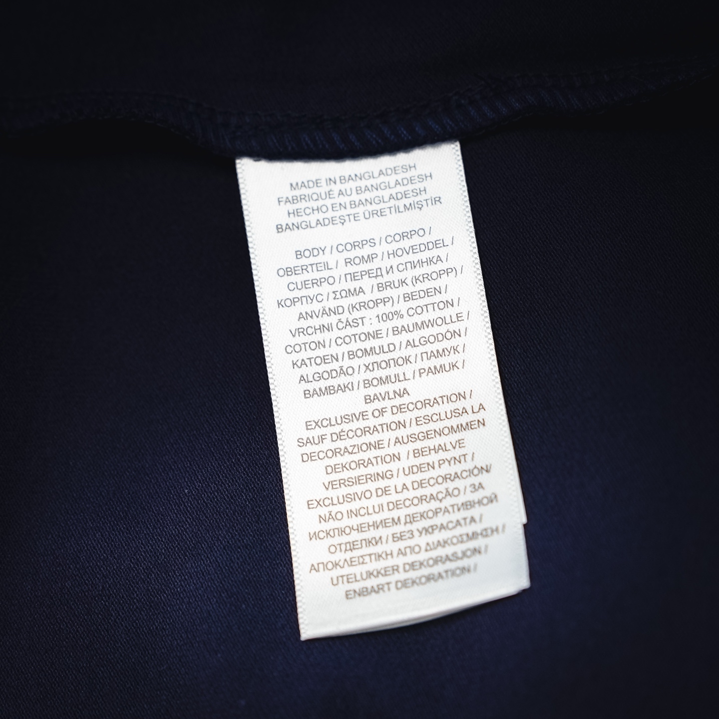Ralph logo embroidered t-shirt