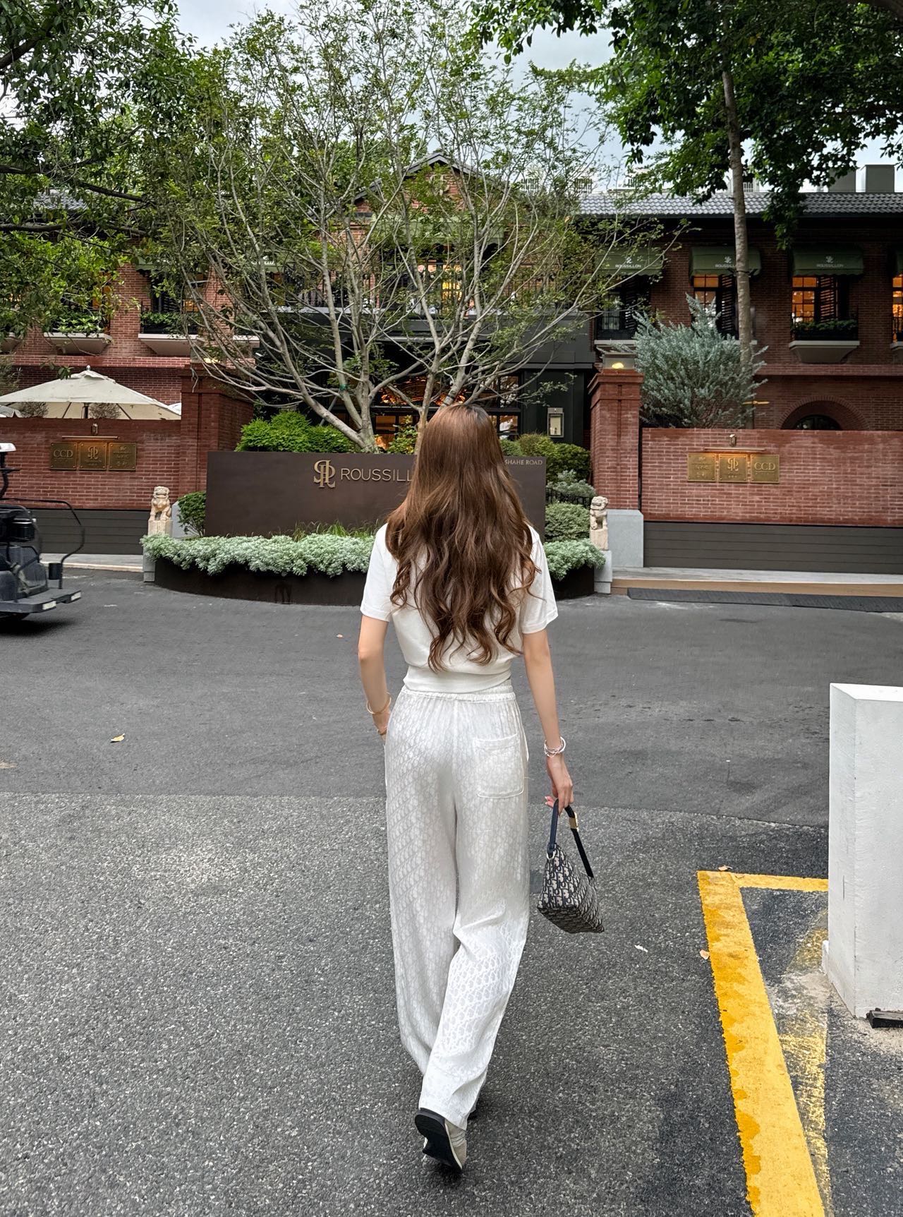 CD 26ss t-shirt wide leg pants set