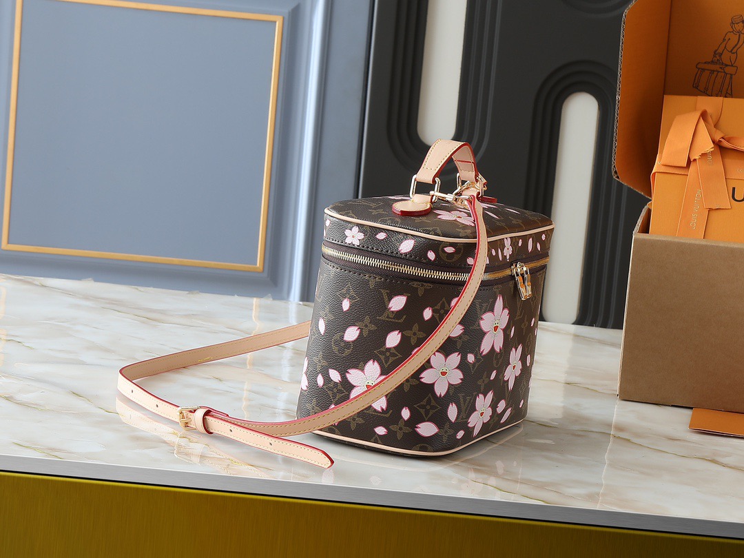Louis monogram bag
