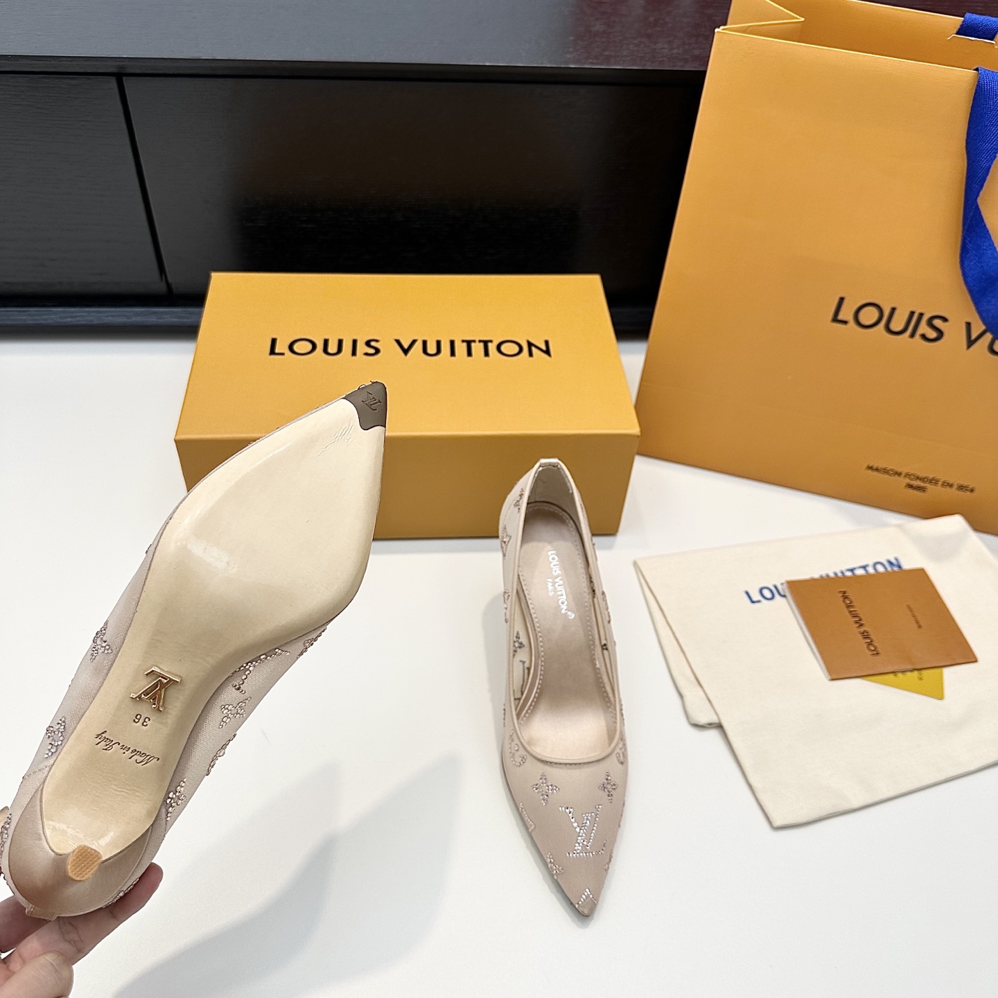 Louis 26ss Pointed-Toe Stiletto Pumps