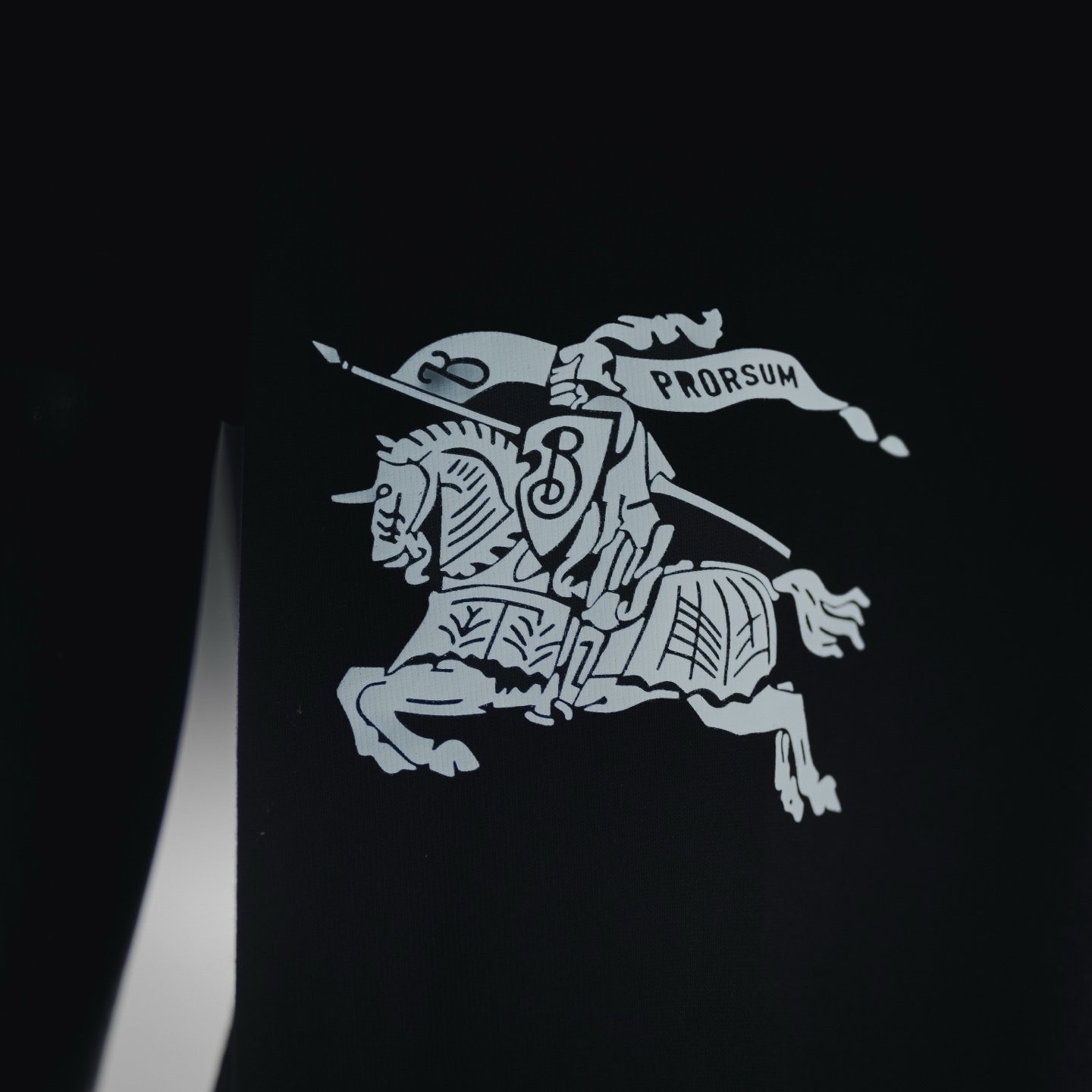 Burb 26ss print t-shirt