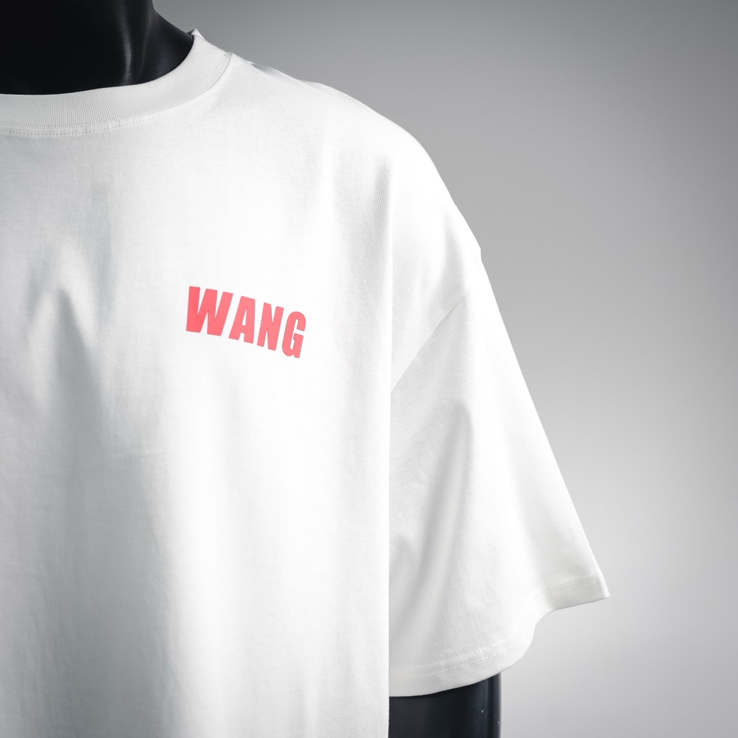 Alex 26ss print t-shirt