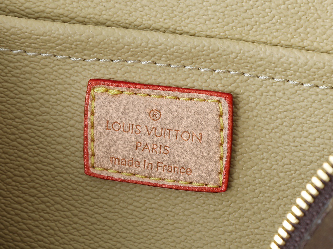 Louis monogram bag