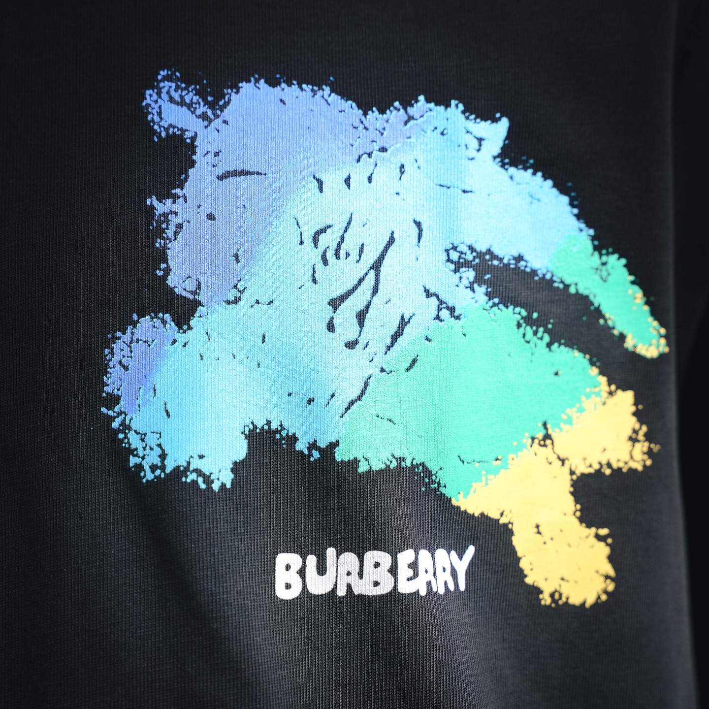 Burb print t-shirt