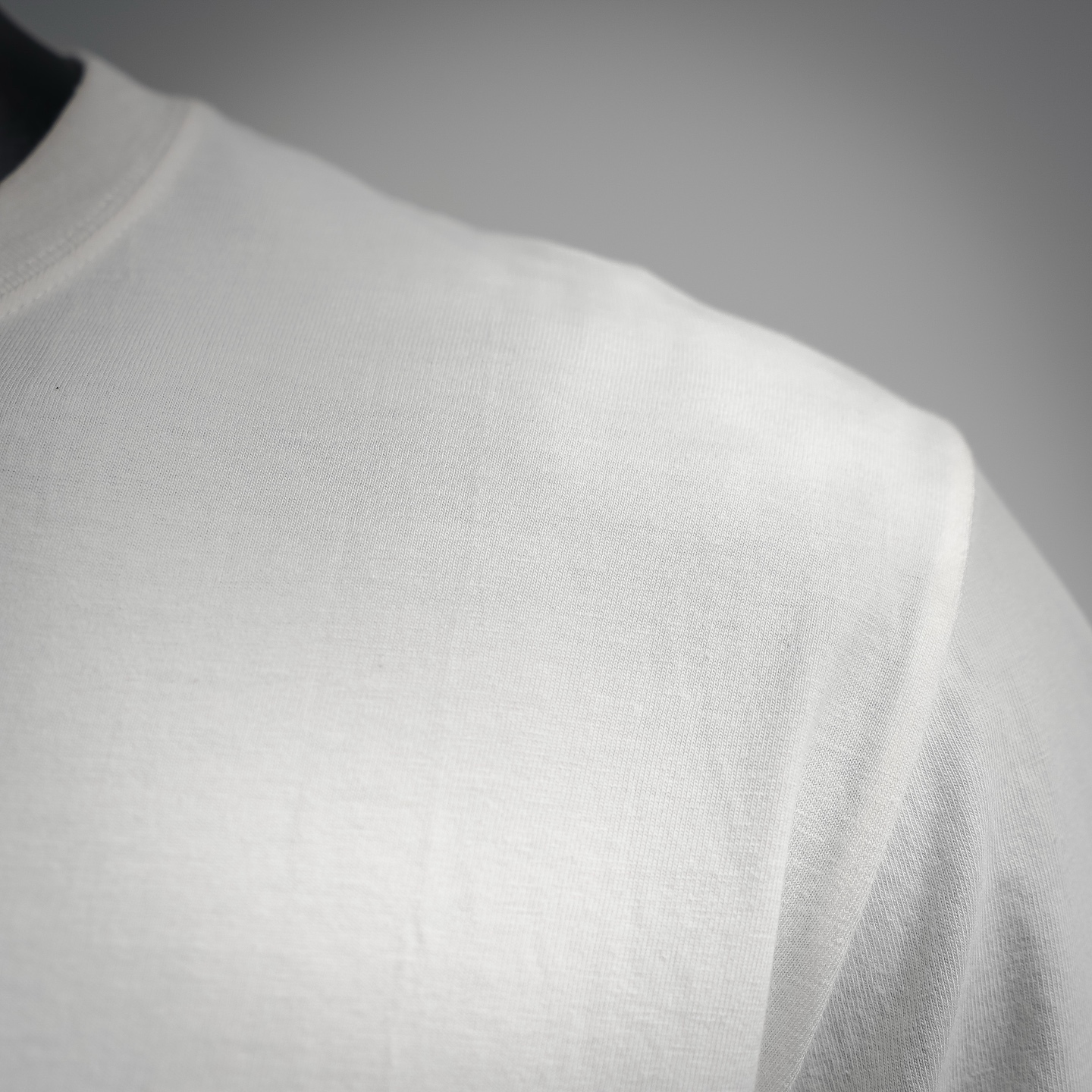 Stuss printed t-shirt