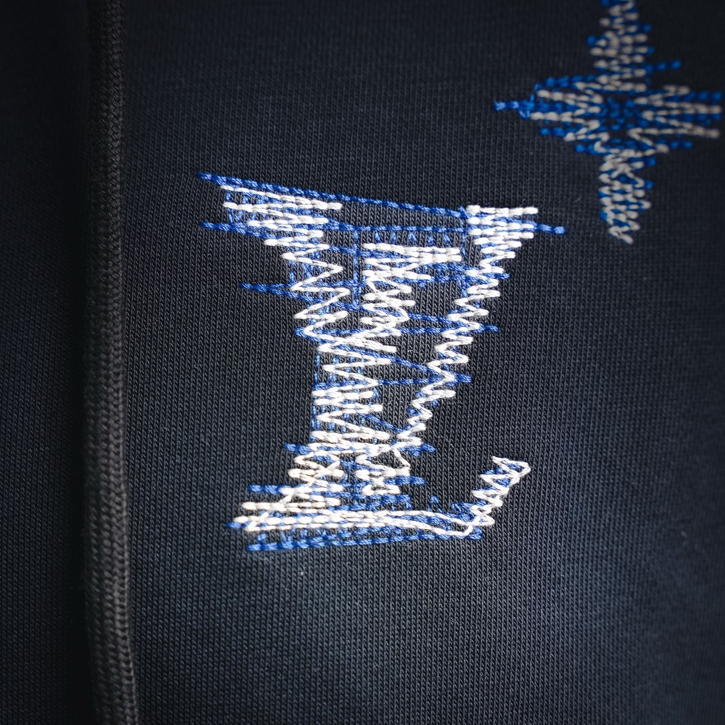 Louis embroidered jacket
