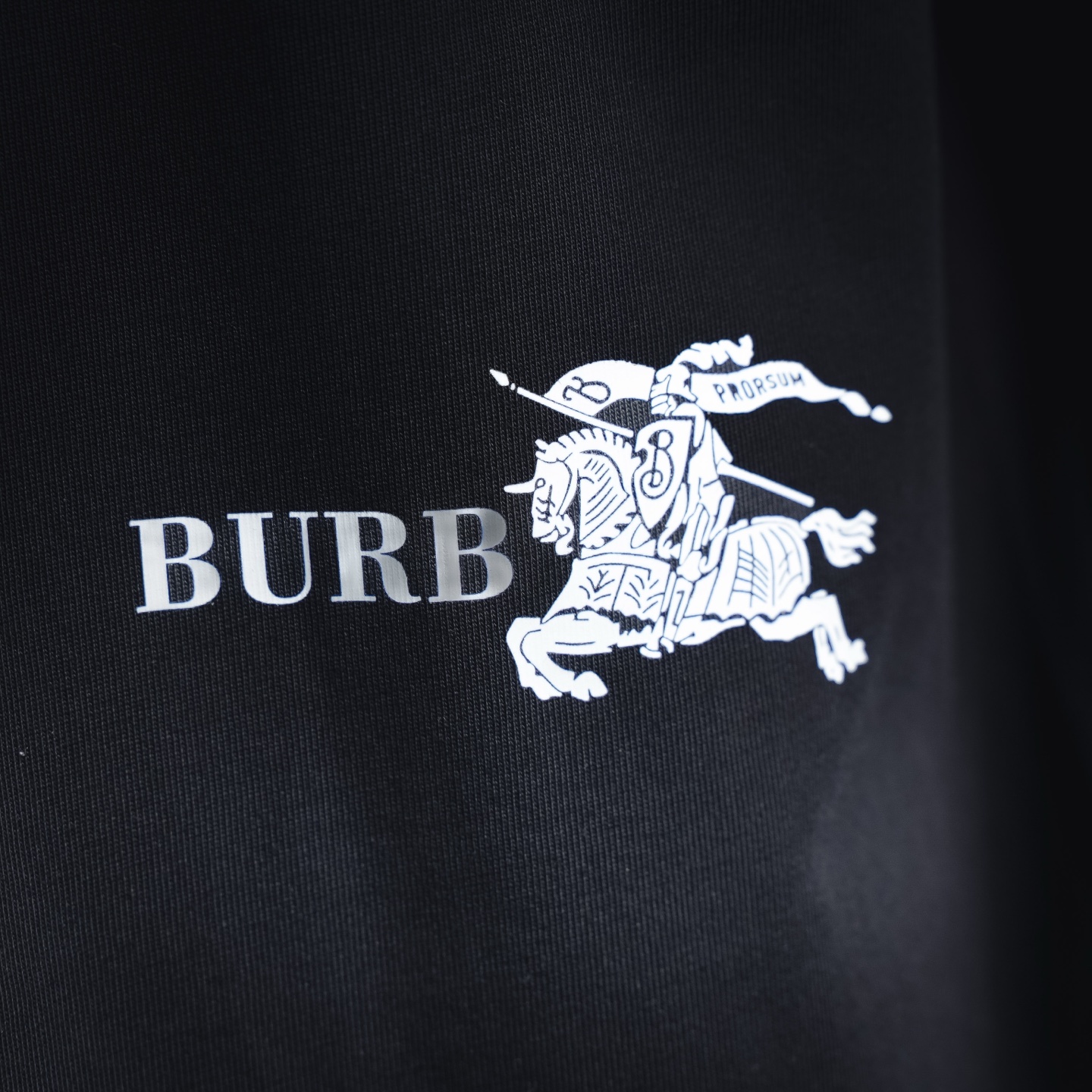 Burb 26ss print t-shirt