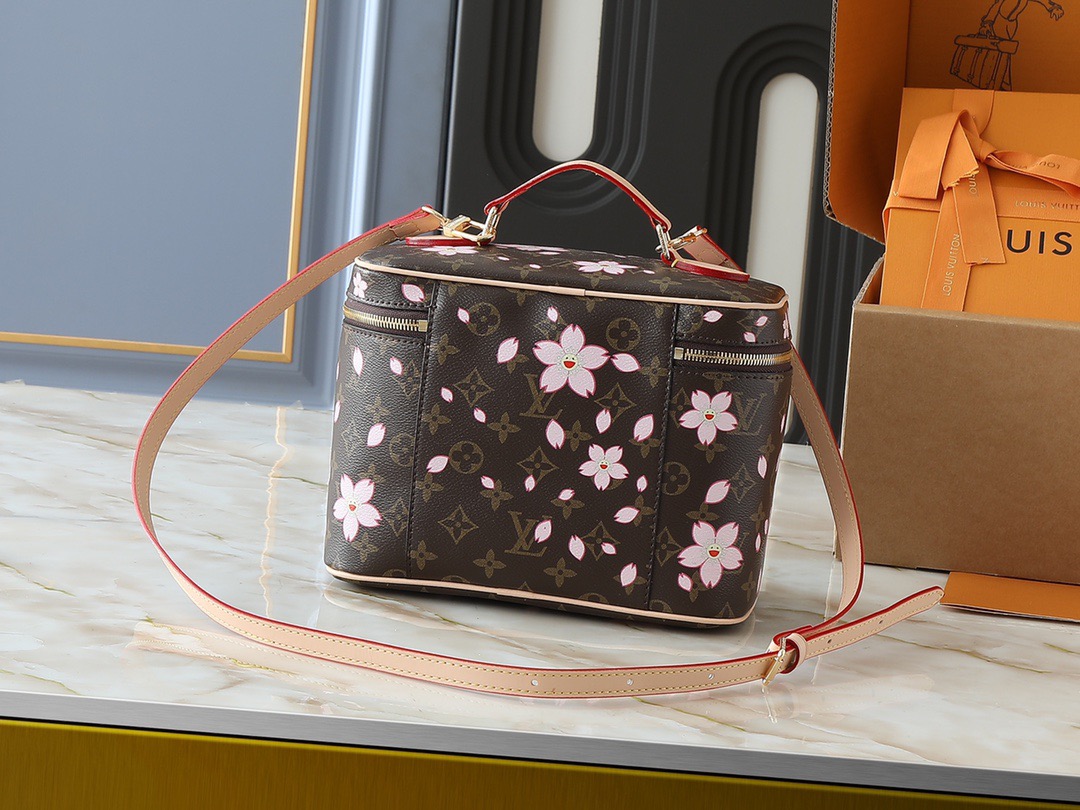 Louis monogram bag