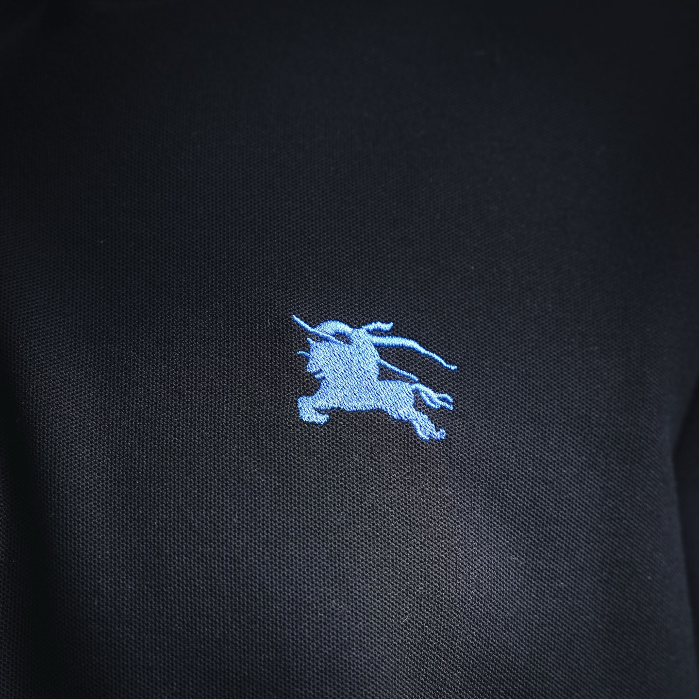 Bur embroidered Polo