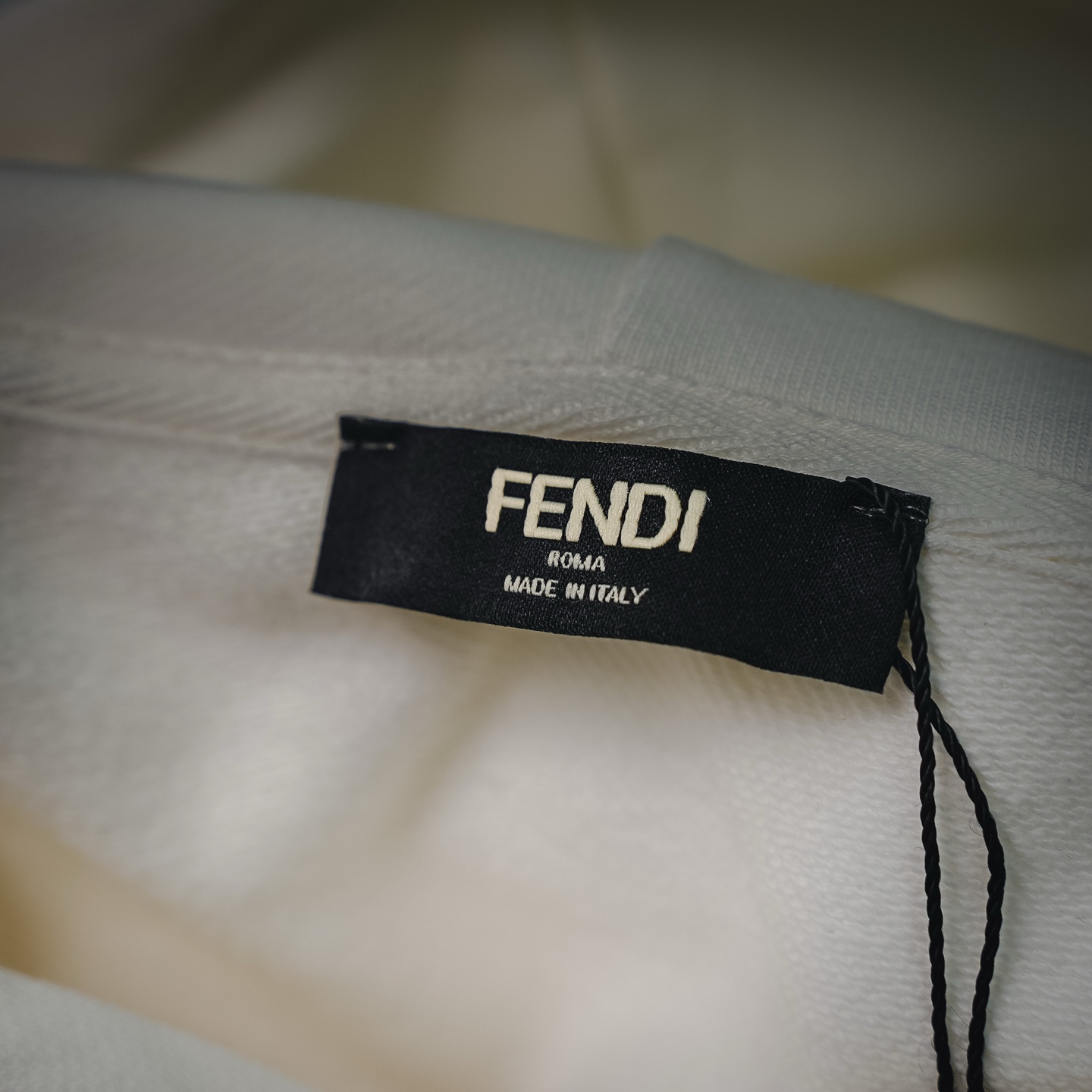 Fend embroidered hoodie