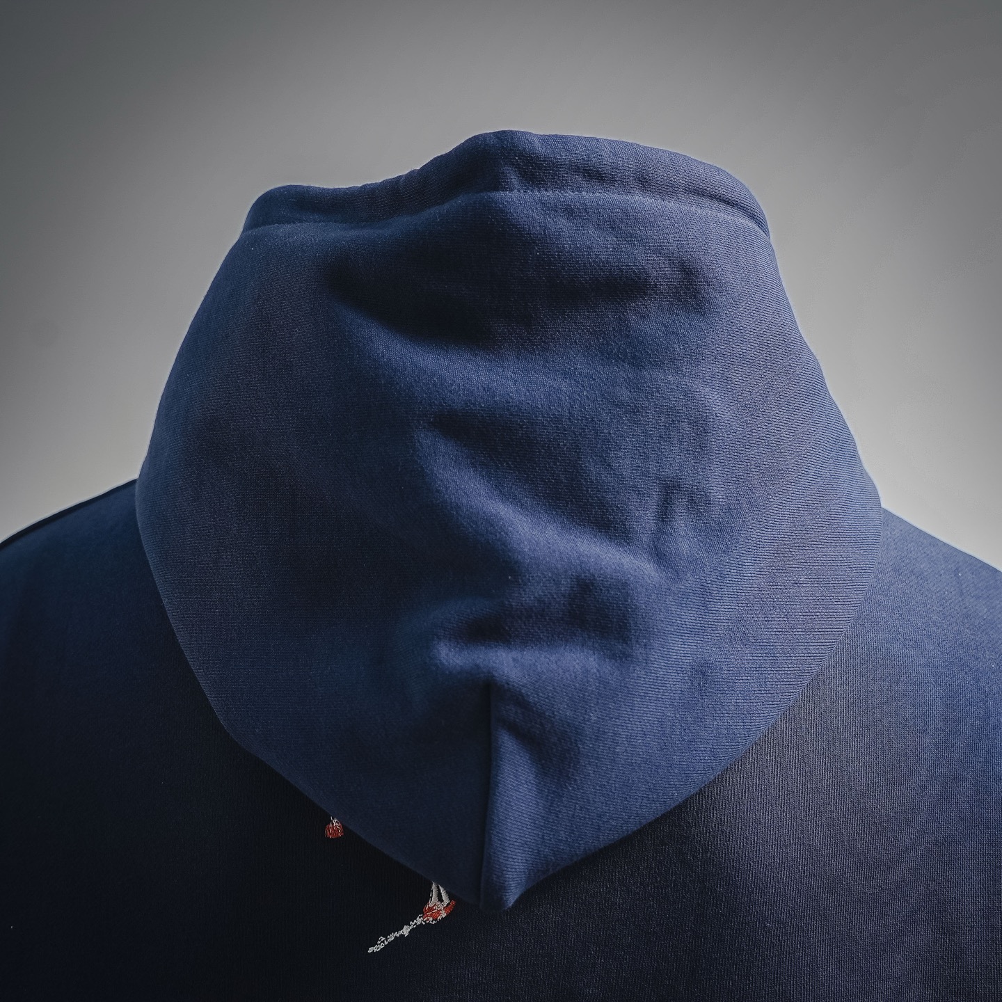 Louis embroidered hoodie