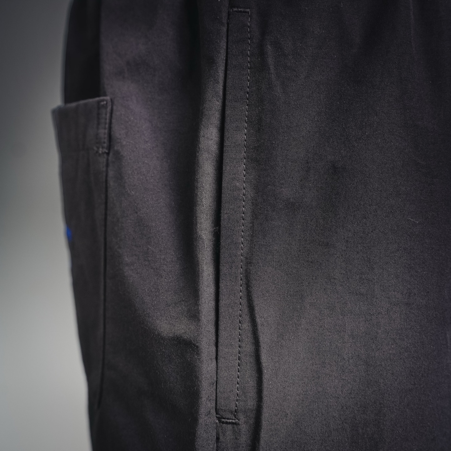 Cel embroidered pants