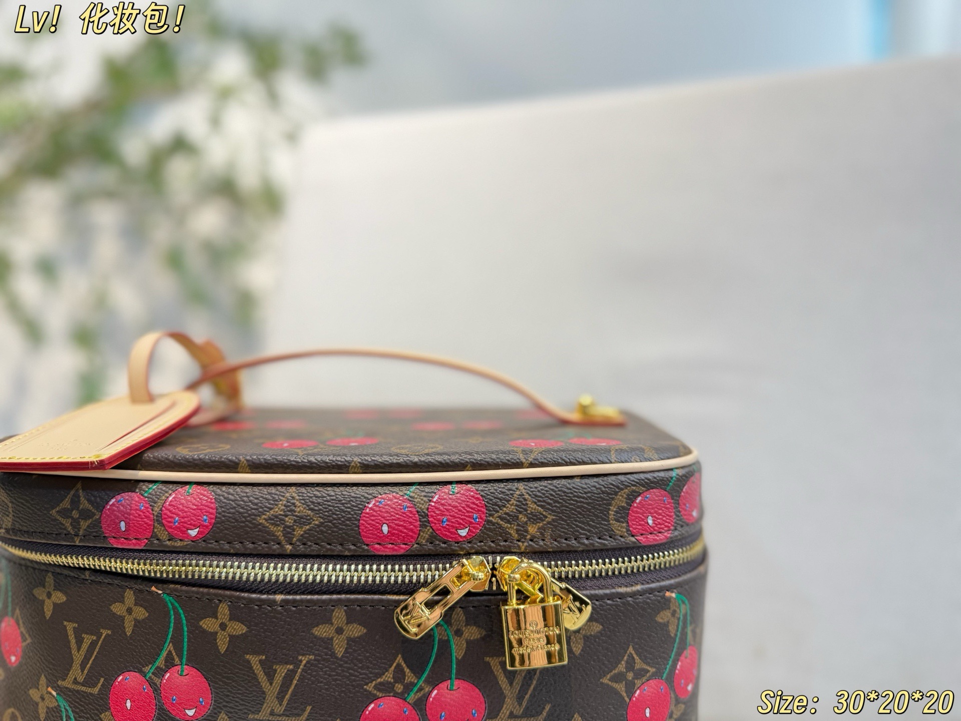 Louis cherry bag