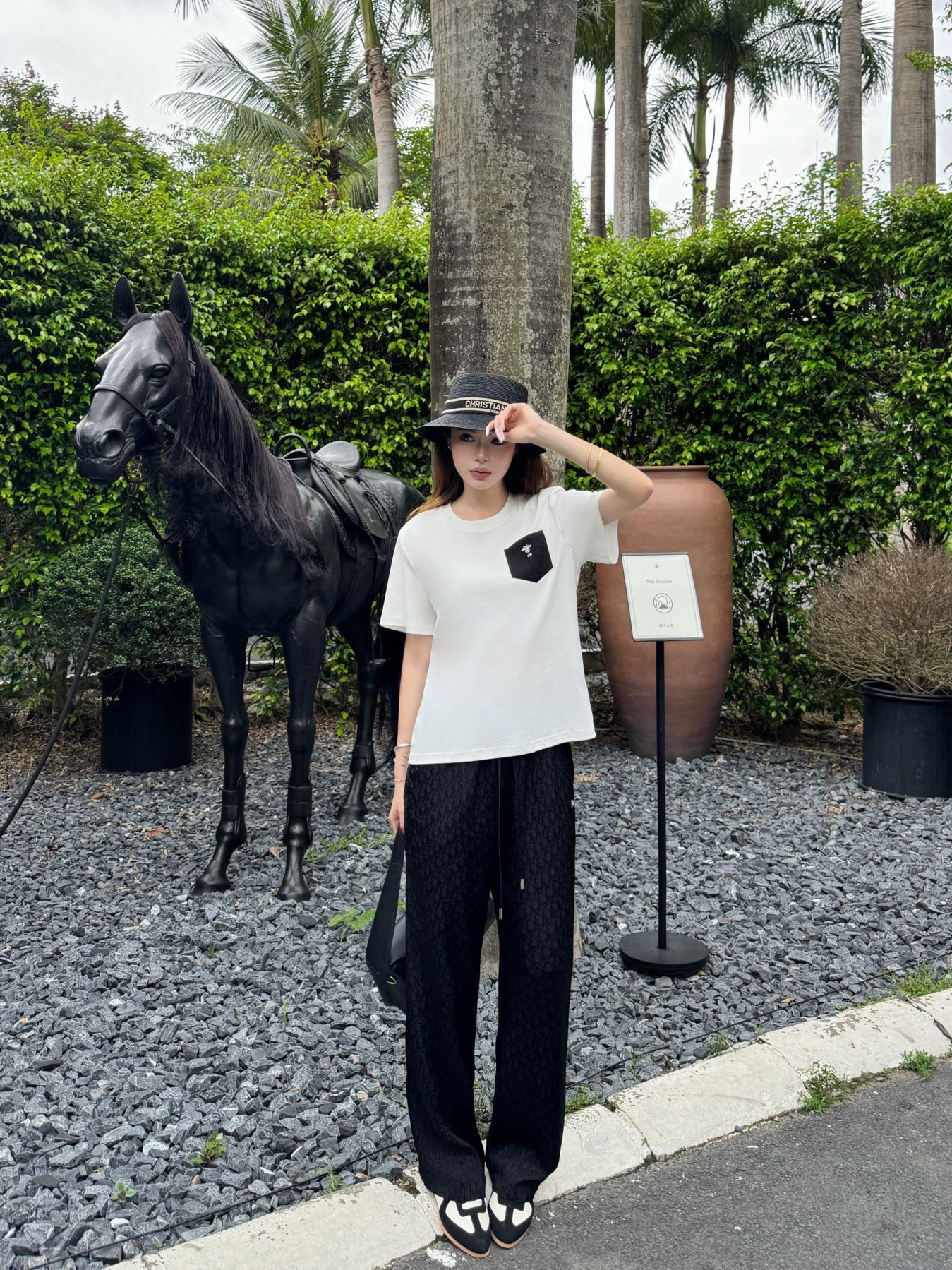 CD 26ss t-shirt wide leg pants set