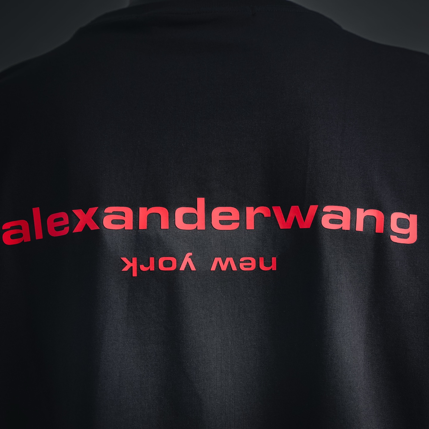 Alex 26ss print t-shirt