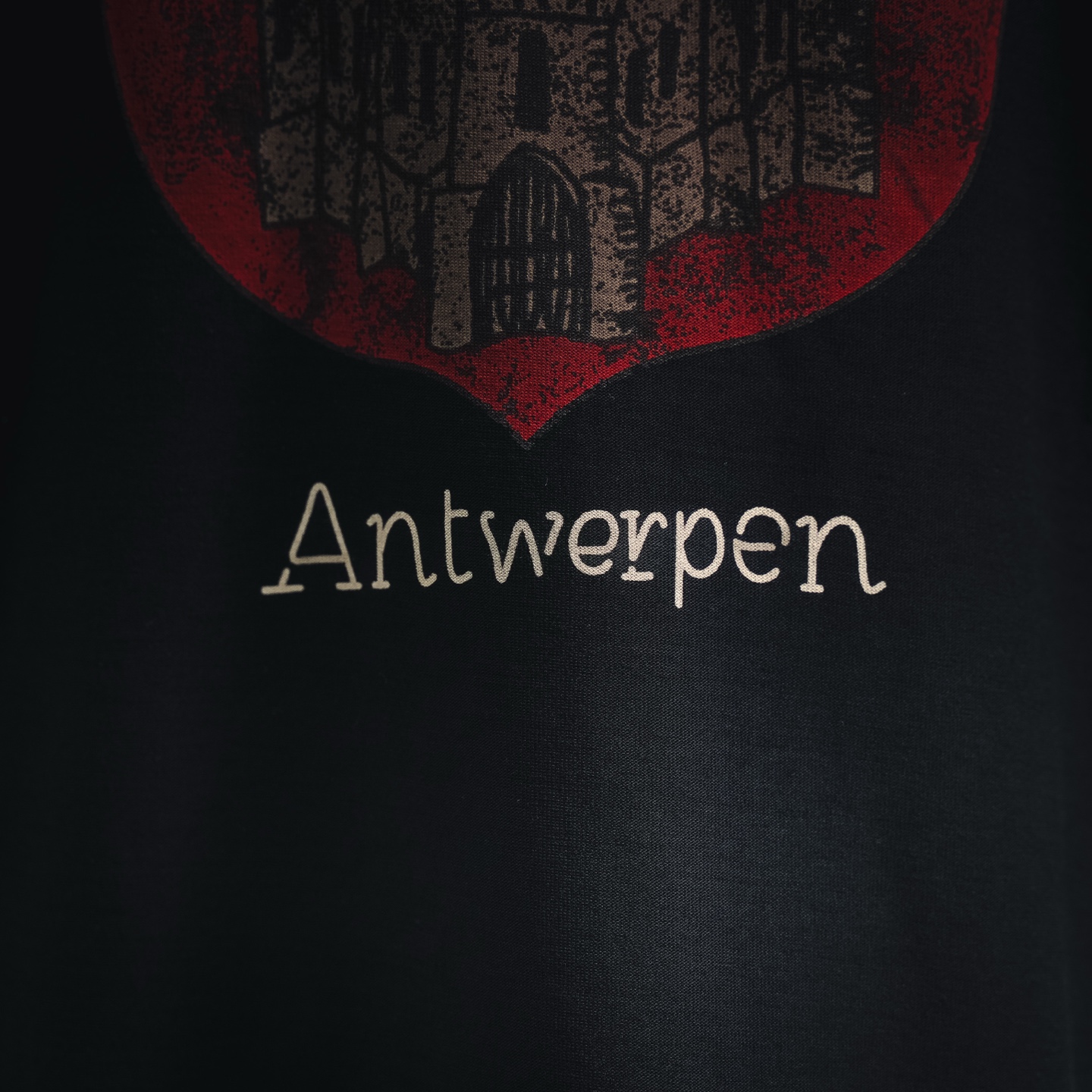 Balen castle printed t-shirt