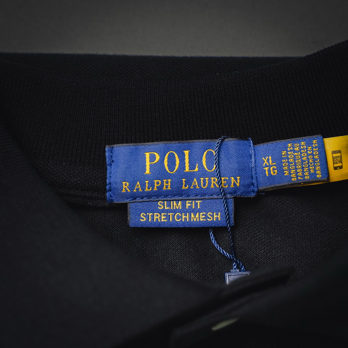 Ralph embroidered Polo