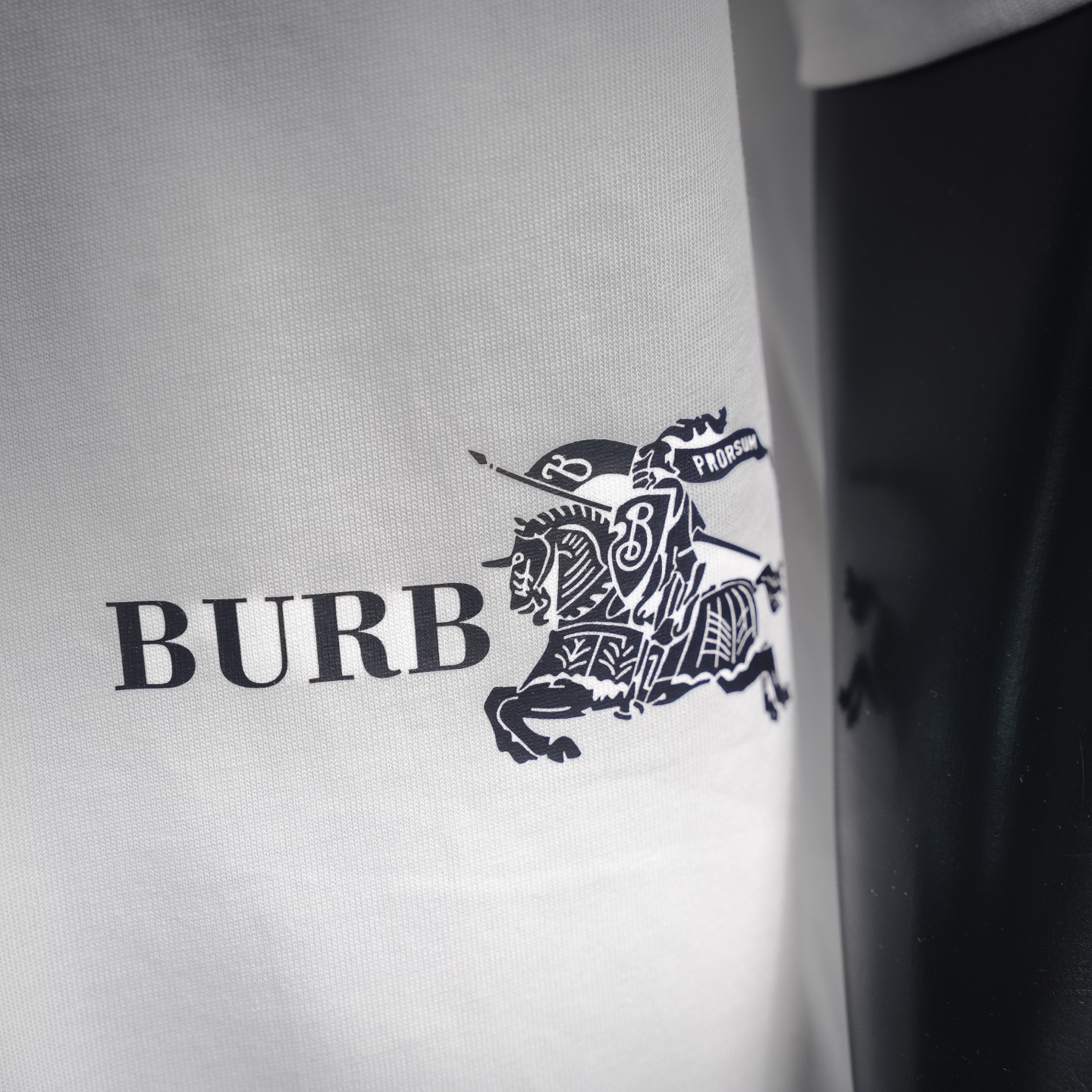 Burb 26ss print t-shirt