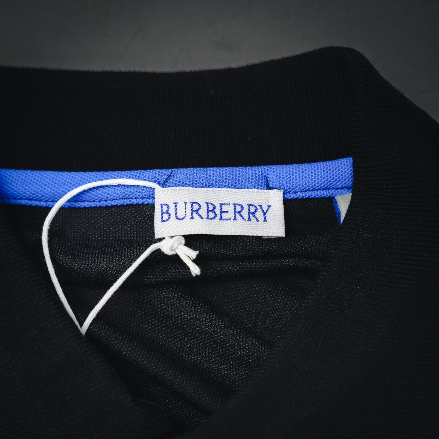 Bur embroidered Polo