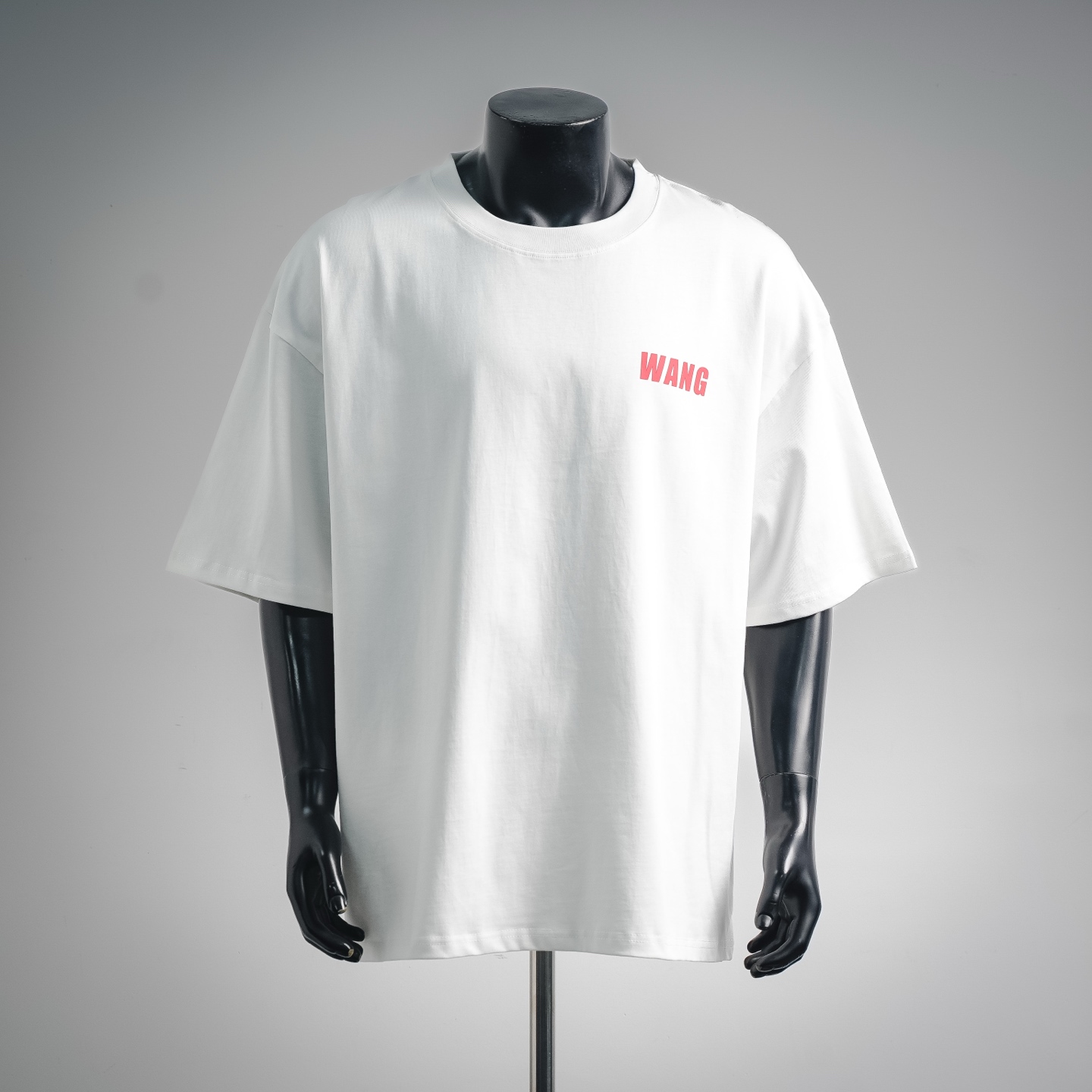 Alex 26ss print t-shirt