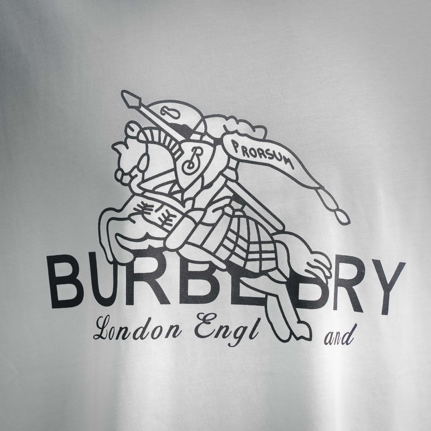 Bur printed t-shirt