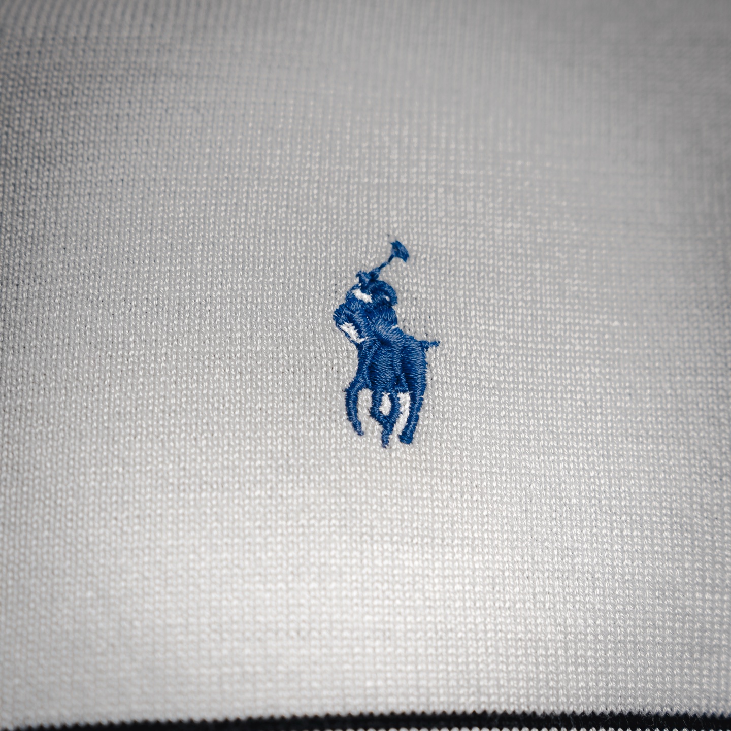 Ralph striped embroidered Polo
