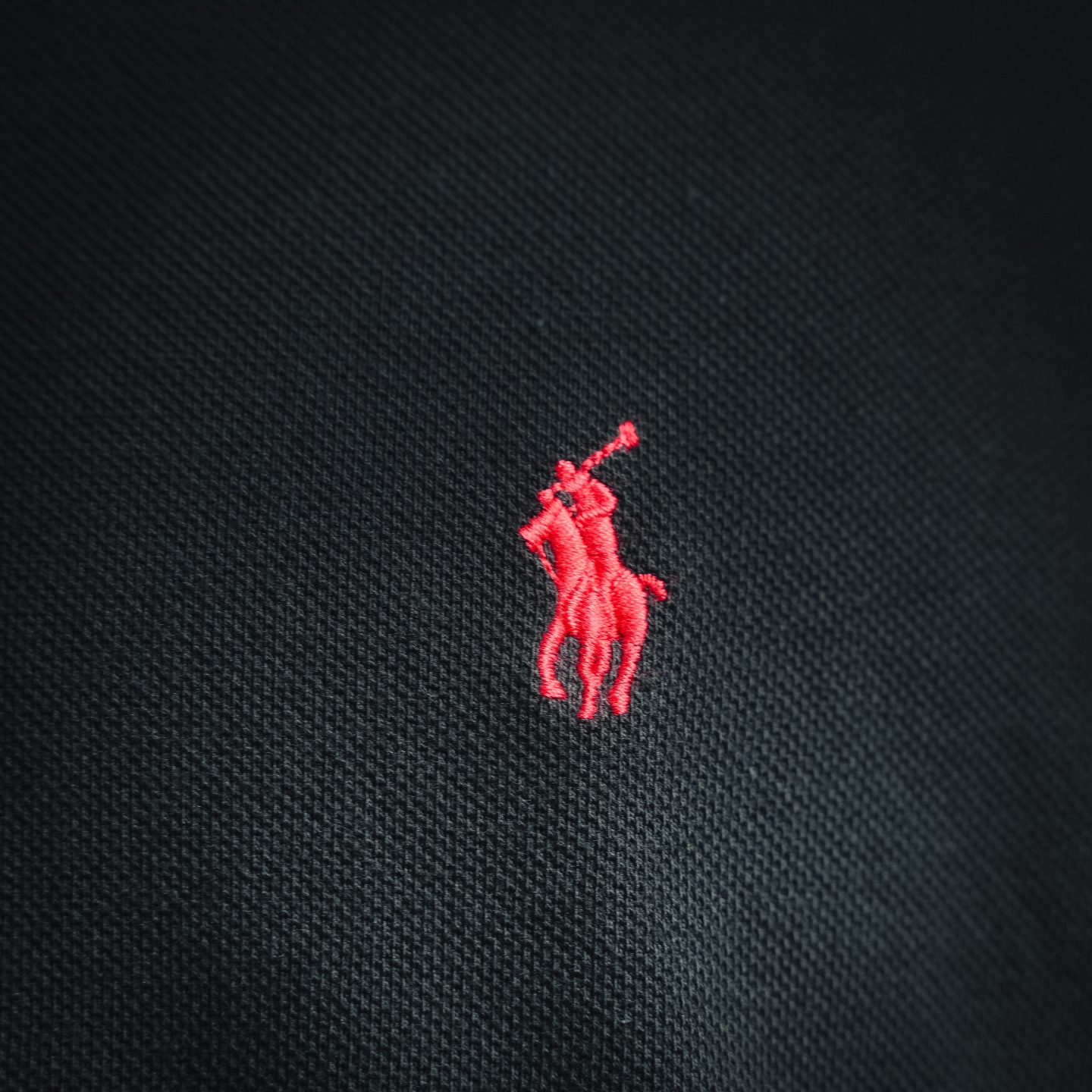 Ralph embroidered sweatshirt